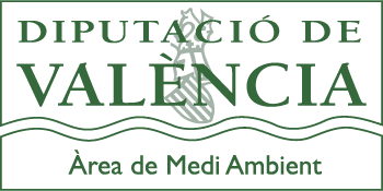 colaborador
